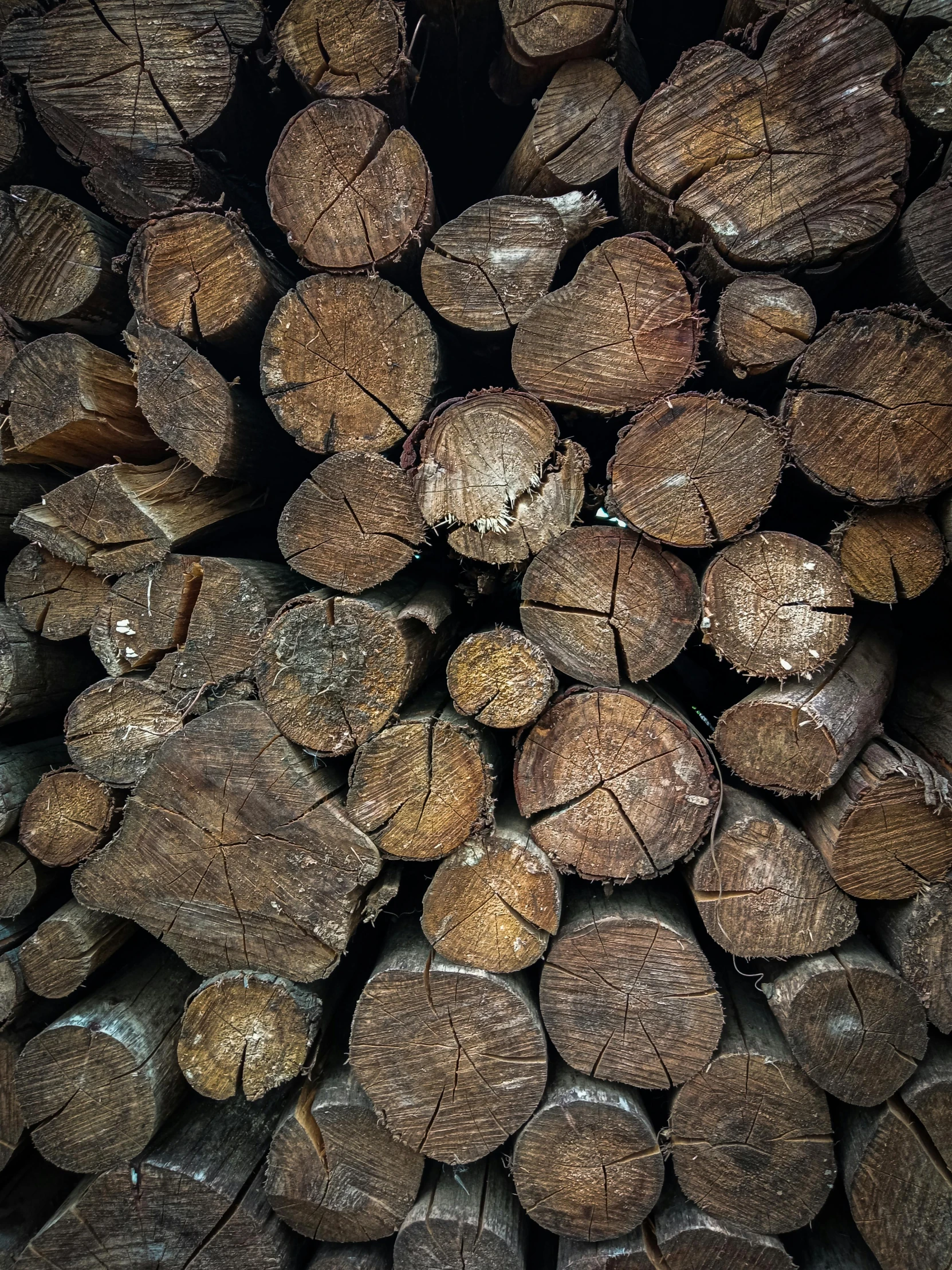 wooden logs are stacked next to each other