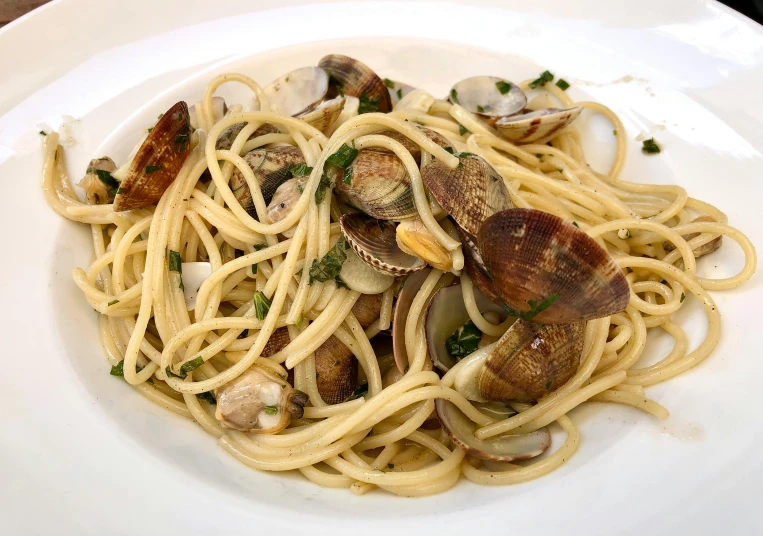 a plate of spaghetti with clams and cheese