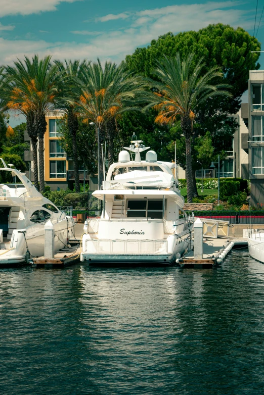 several motor boats and a yacht sit docked in the marina