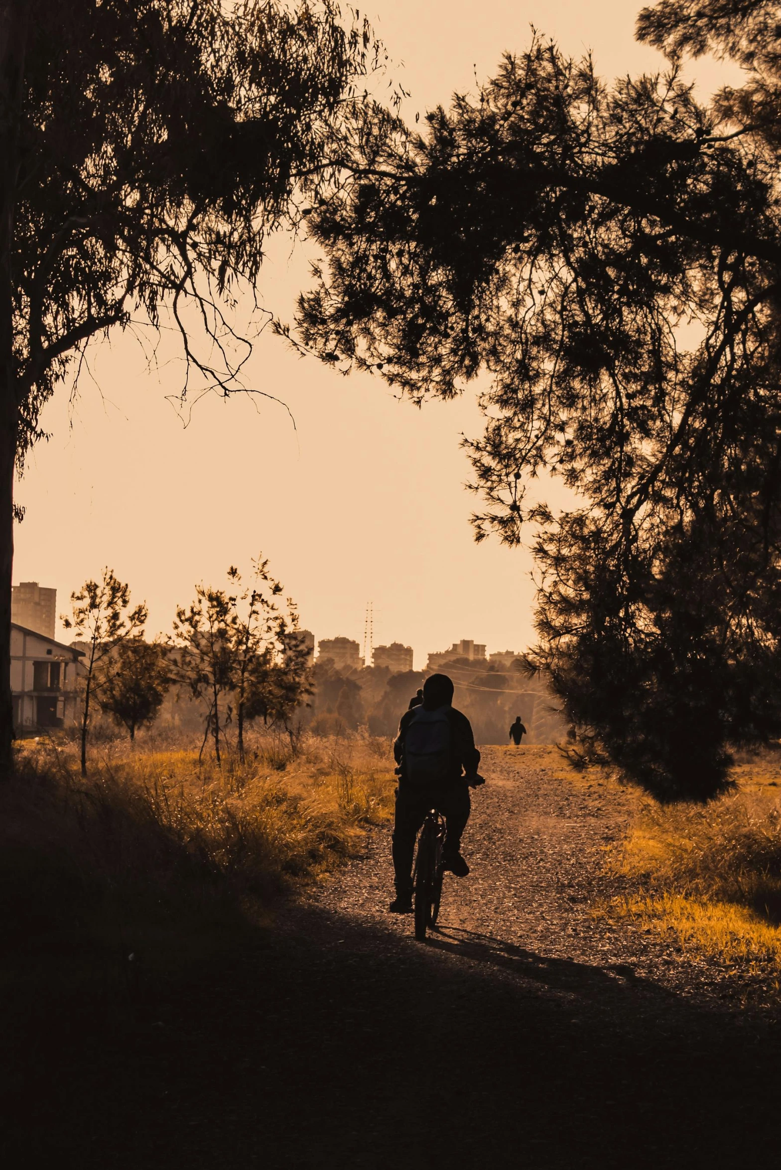 a man riding a bike down a road past tall trees