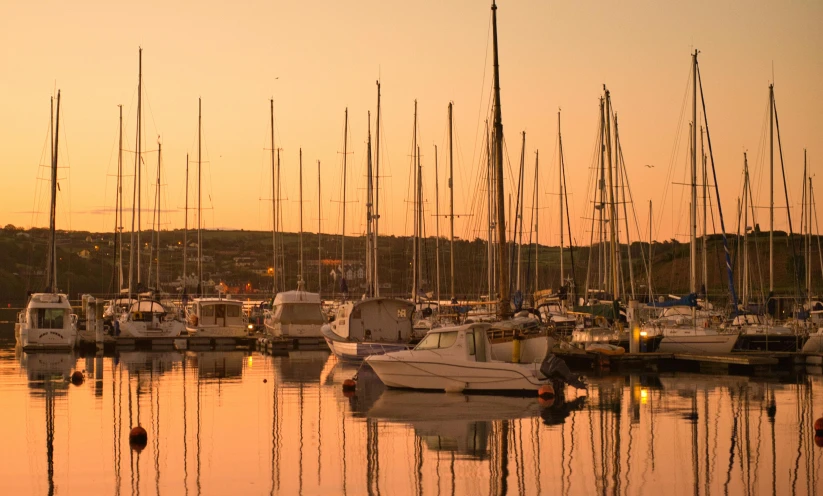 boats are parked near each other at a marina