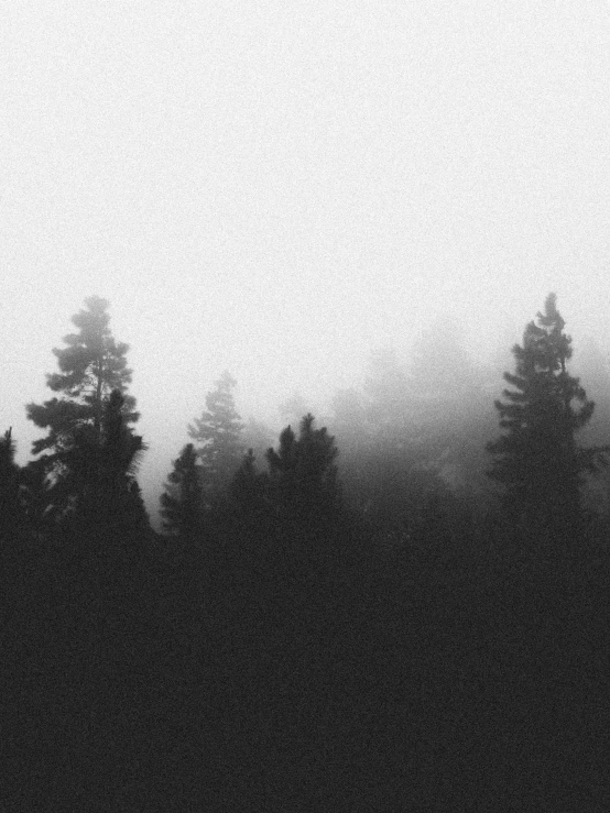 a cloud looms over some trees covered in mist