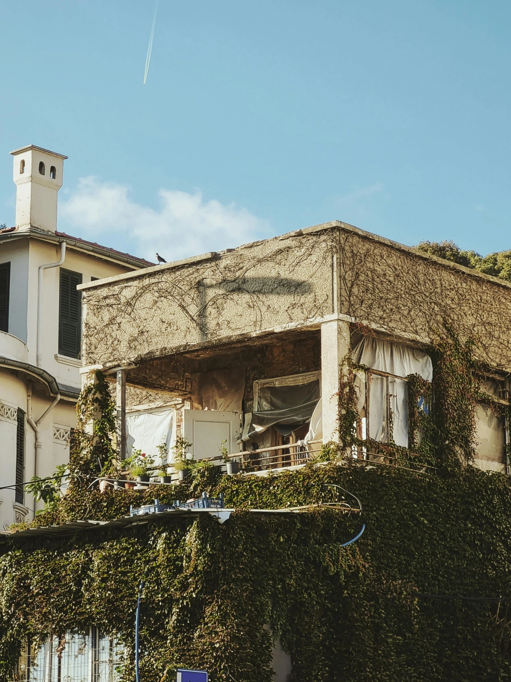 a very old style house with some vines growing on the roof