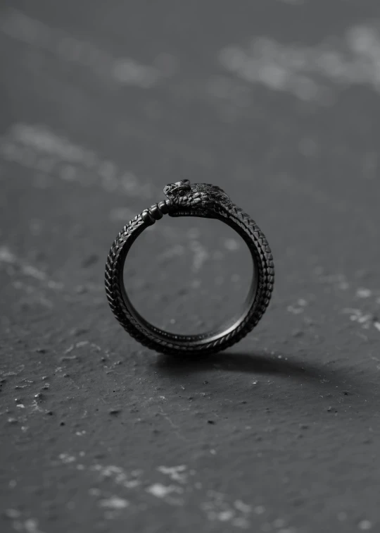 an image of a ring with the stones in it