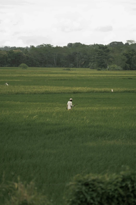 a man walking through a green field, with a white frisbee