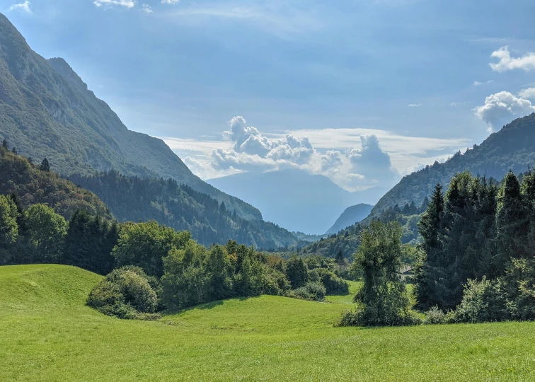 mountains with some trees in front of them