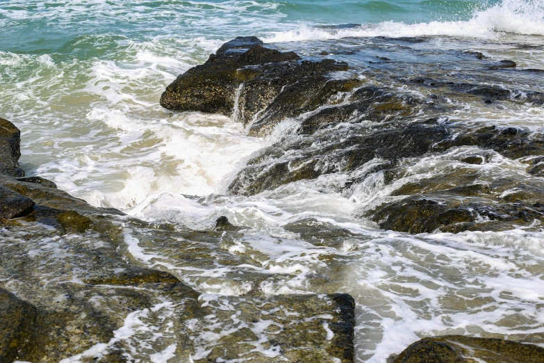 birds sitting on top of rocks by the ocean