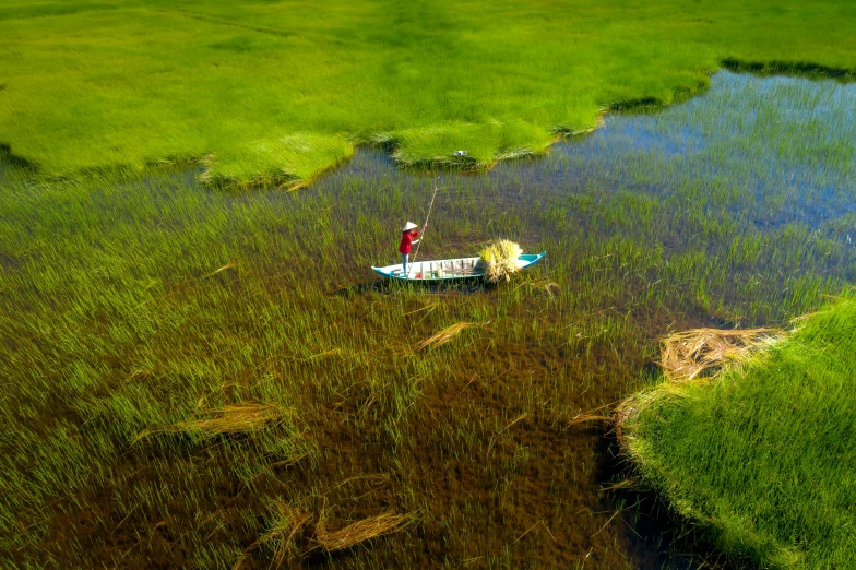 some grass and a few boats on the water