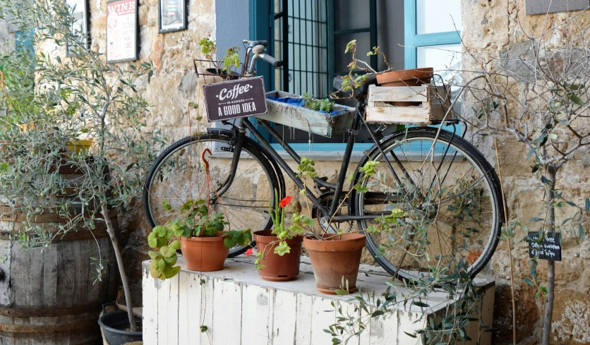 some plant and pots are sitting on the ledge