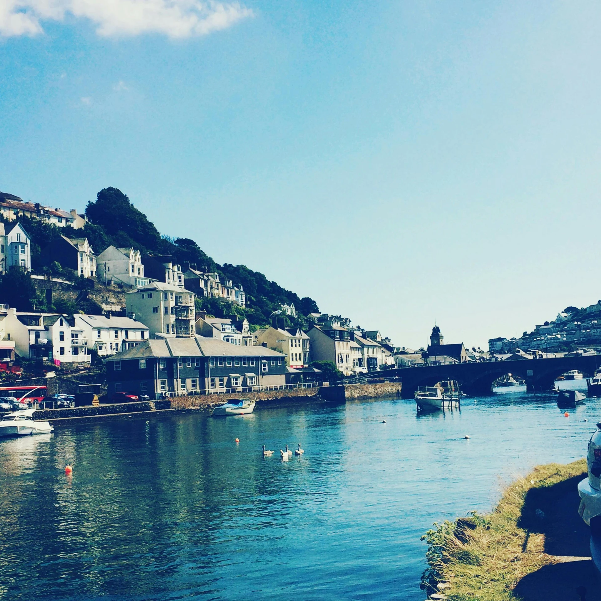 this is a scenic view of boats on the water