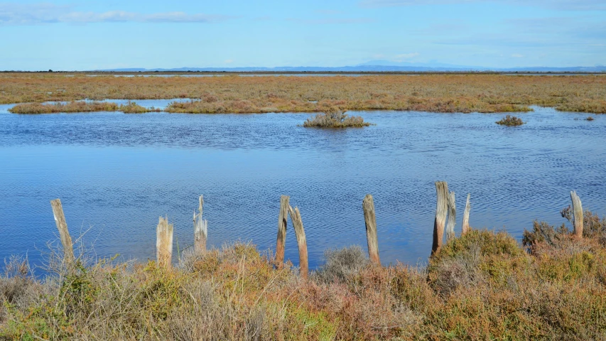 some very nice looking water by some land