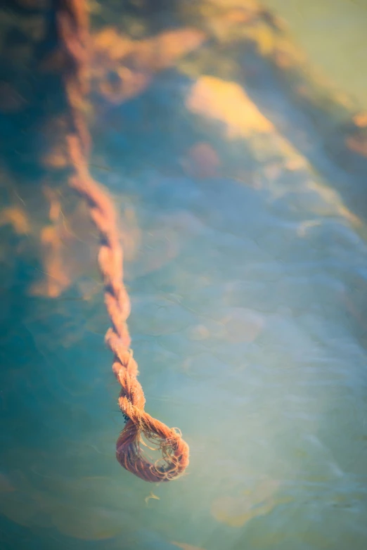 a rope is hanging from the surface in the water