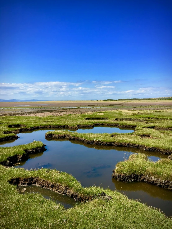 small stream in grassy open field with bright blue sky