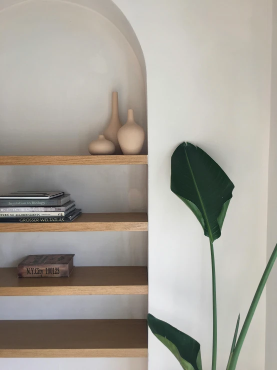 this shelf has books and vases on it
