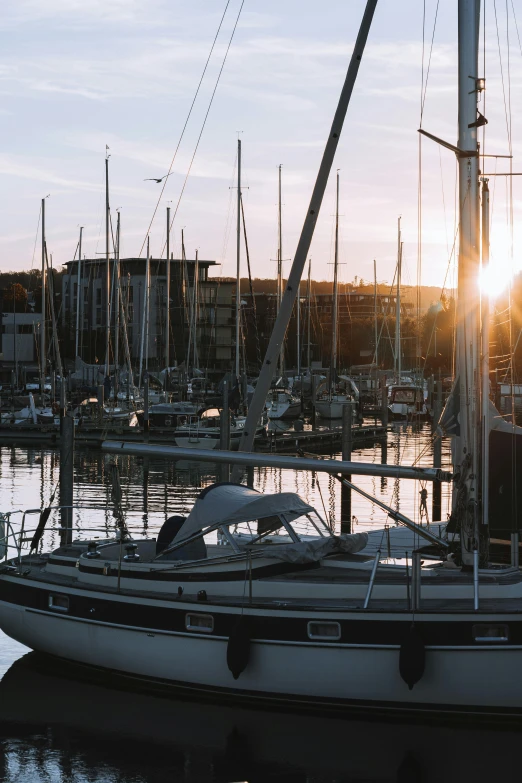 boats parked at a marina during the day