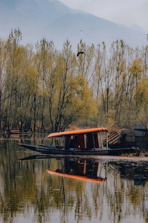 a houseboat sits on the water surrounded by trees