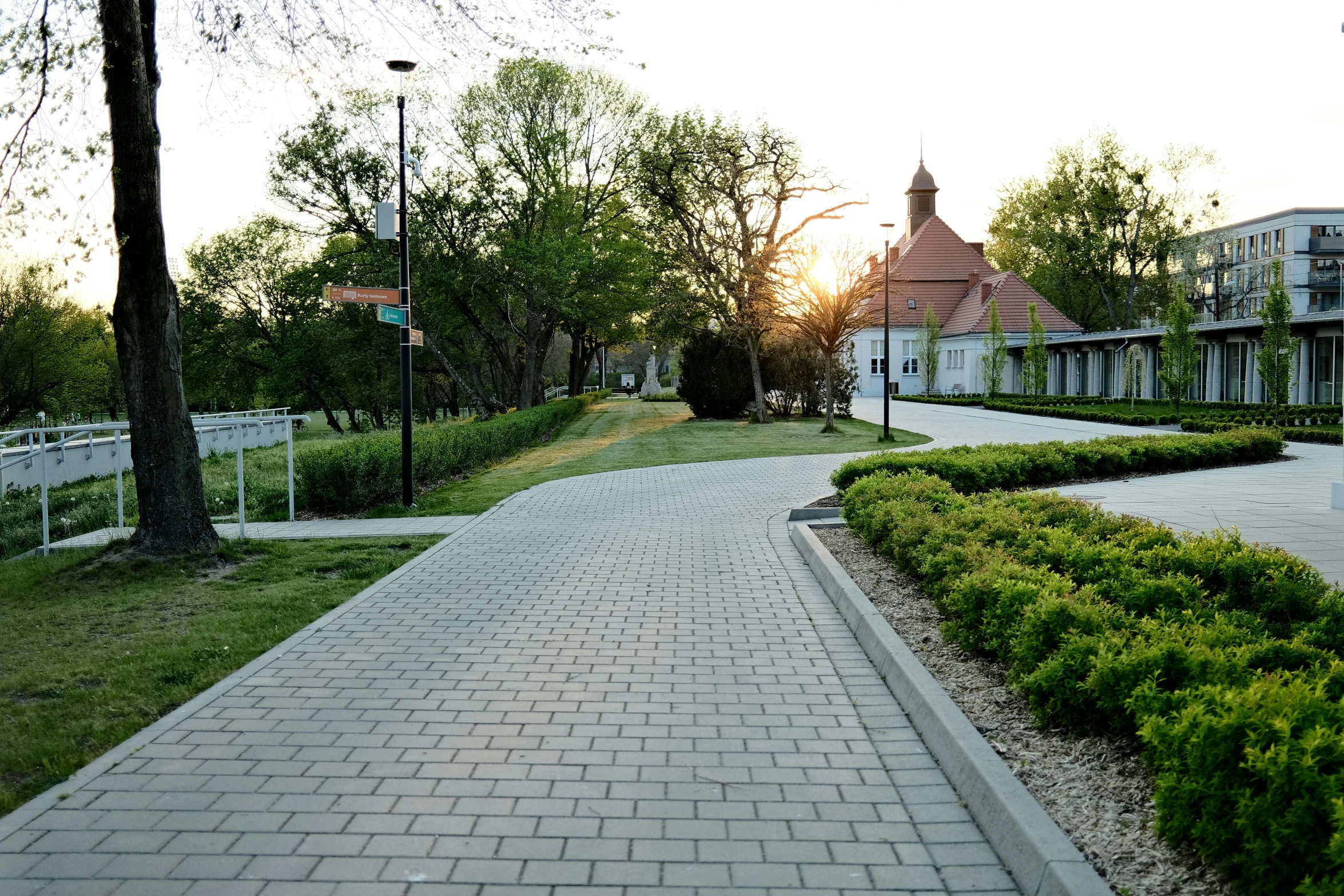 an empty sidewalk lined with trees and a park