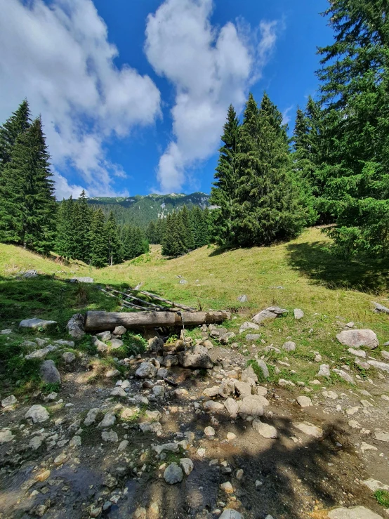 a field with trees in the background and rocks on the ground below