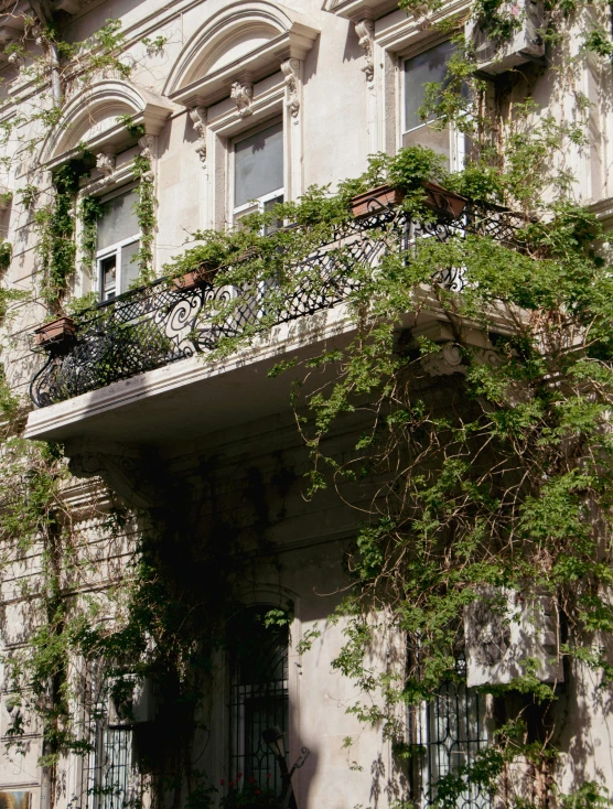 a balcony in a large building with many plants growing up the side