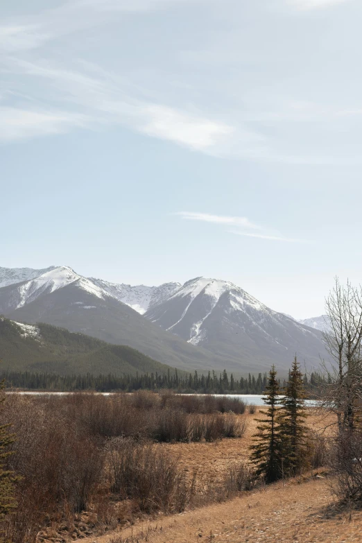 some mountains and trees near one another