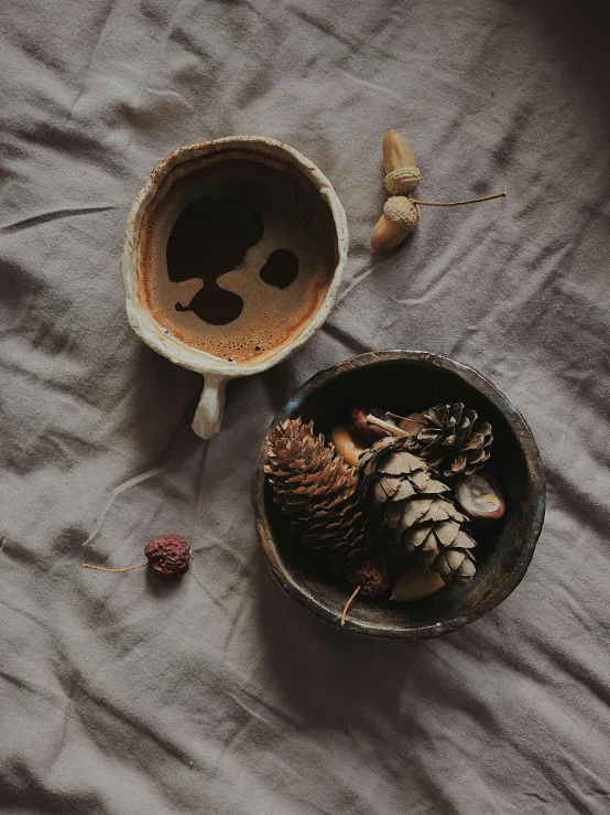 two pine cones and two pieces of pine cones sit in a small bowl on a sheet
