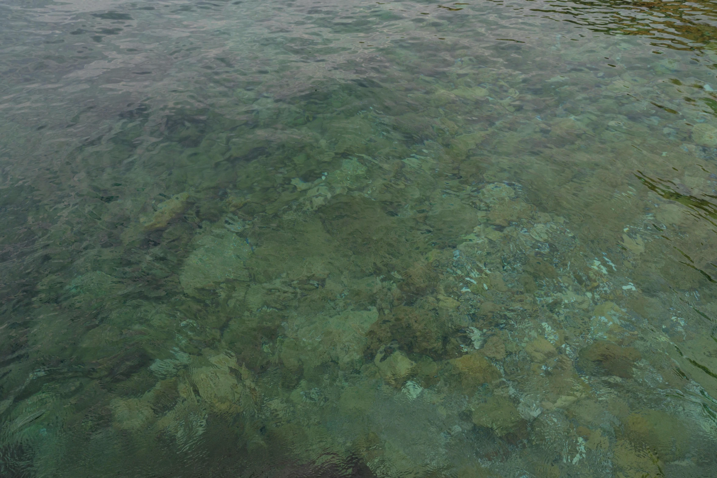 a large body of water with a blue sky in the background