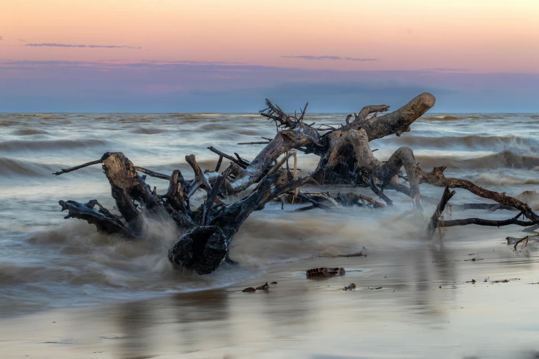 a driftwood on the beach covered in waves