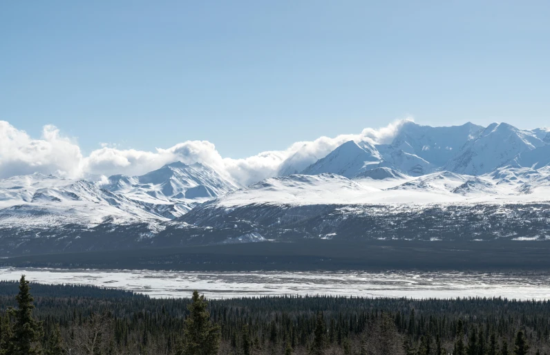 snowy mountains are behind evergreen forest and there is a lake