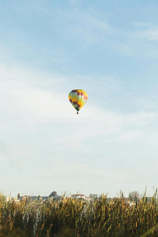 a  air balloon floating over tall grass