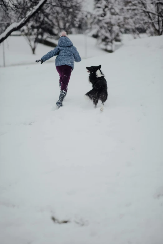 a woman in the snow is chasing a dog