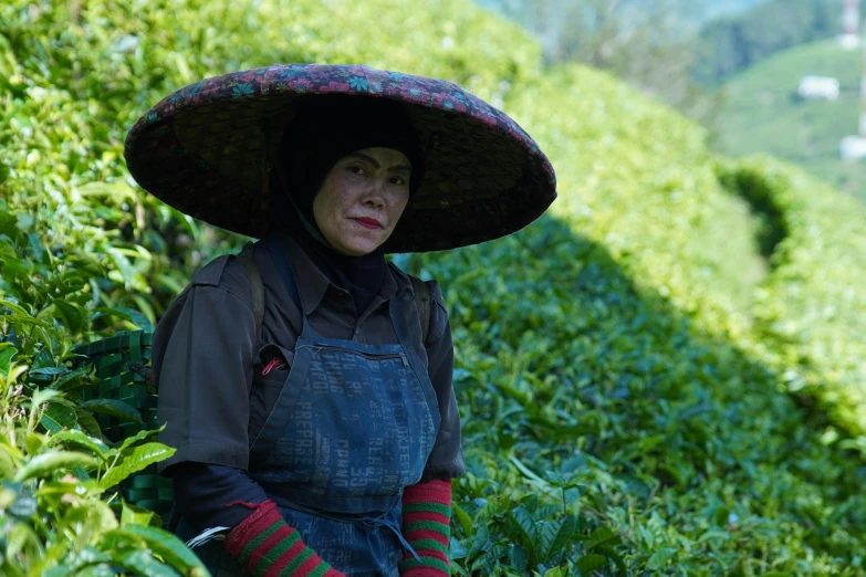 a person in a large hat and overalls on a tea estate