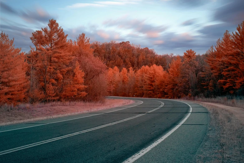 an empty road is lined by some colorful trees