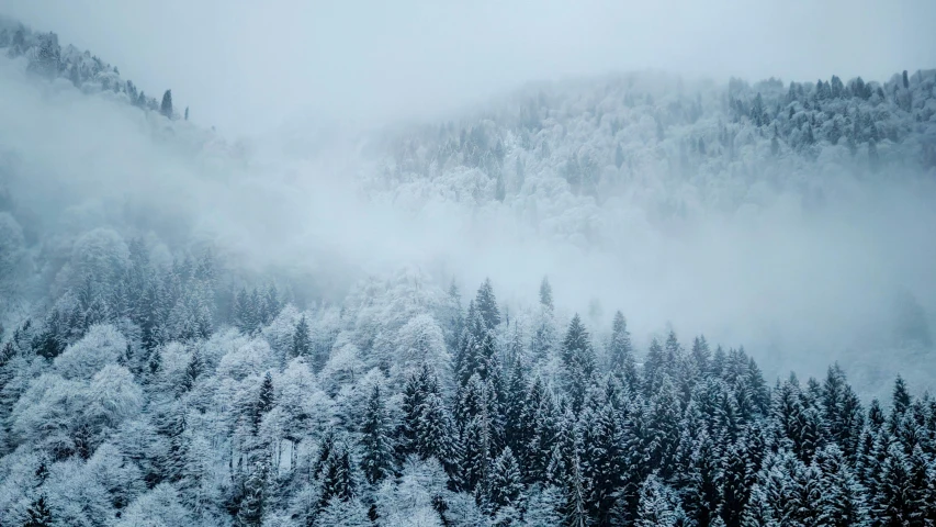 the mountains are covered with thick clouds and trees