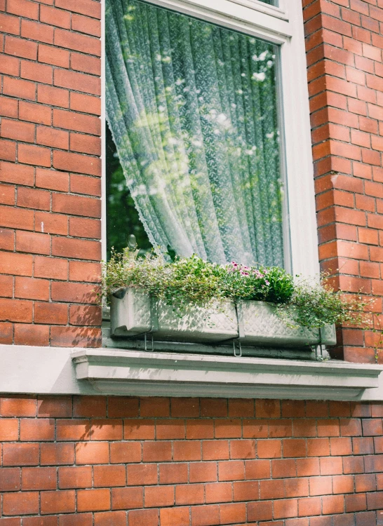 a large window is shown with flowers in the sill