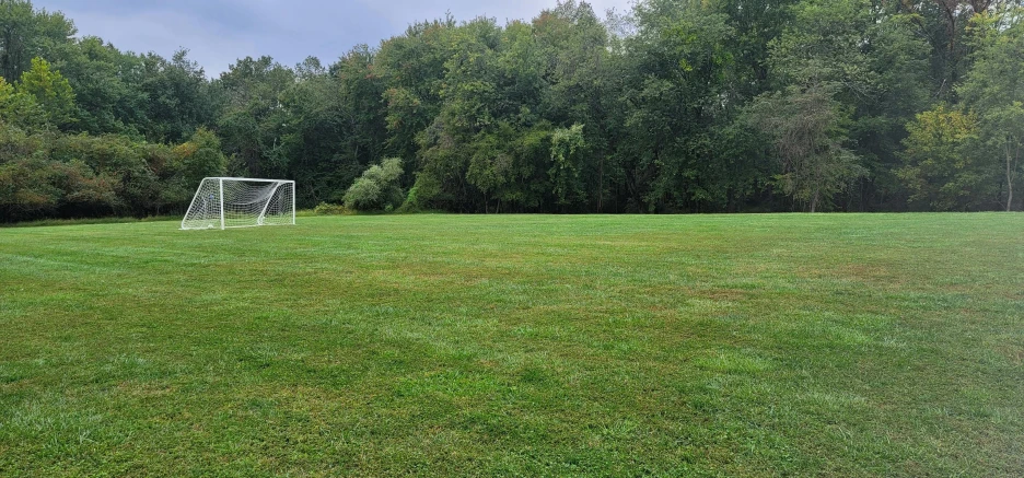 an image of a soccer goal sitting in the grass