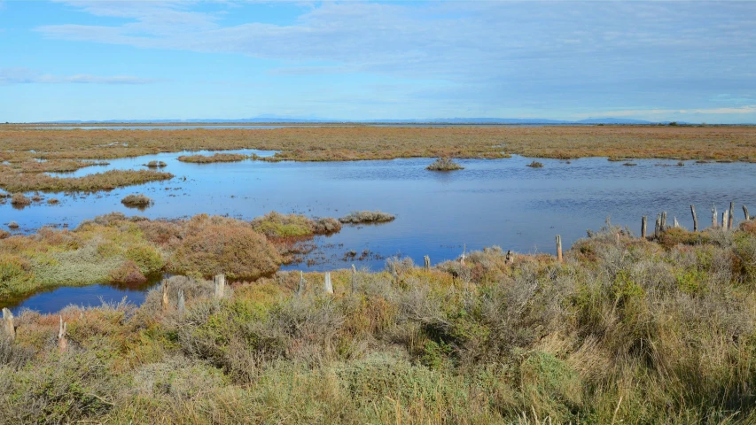 a wide open field with water surrounded by grass