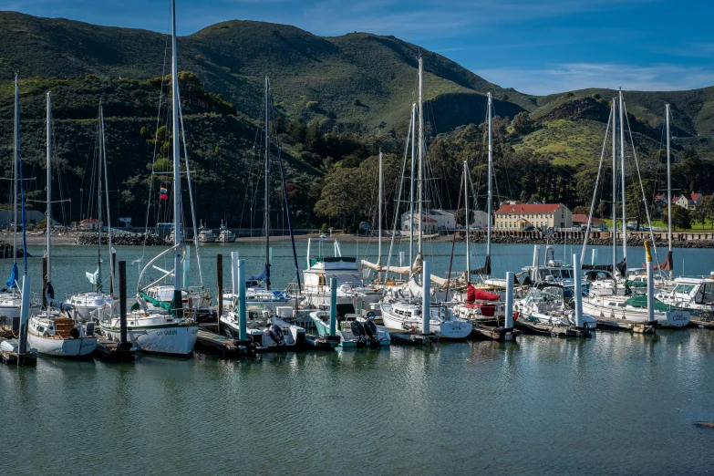 there are many sail boats in the water together