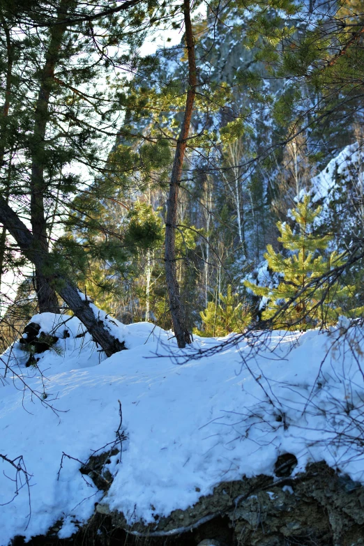 a person riding a snowboard down the side of a snowy mountain