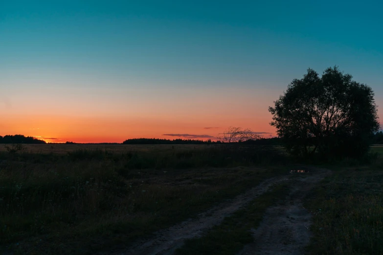 a sunset view of trees and a dirt path