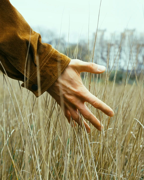 a hand reaching for soing in a field