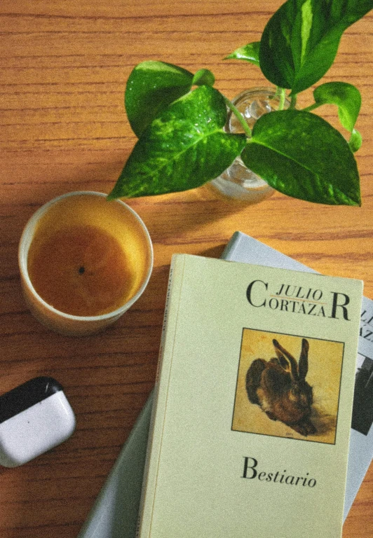 the books are sitting on a wooden table beside a glass