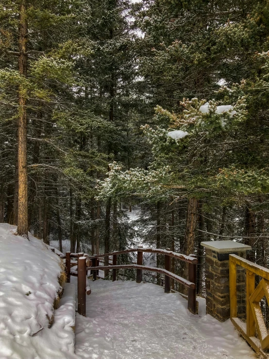 a snow covered trail is surrounded by trees