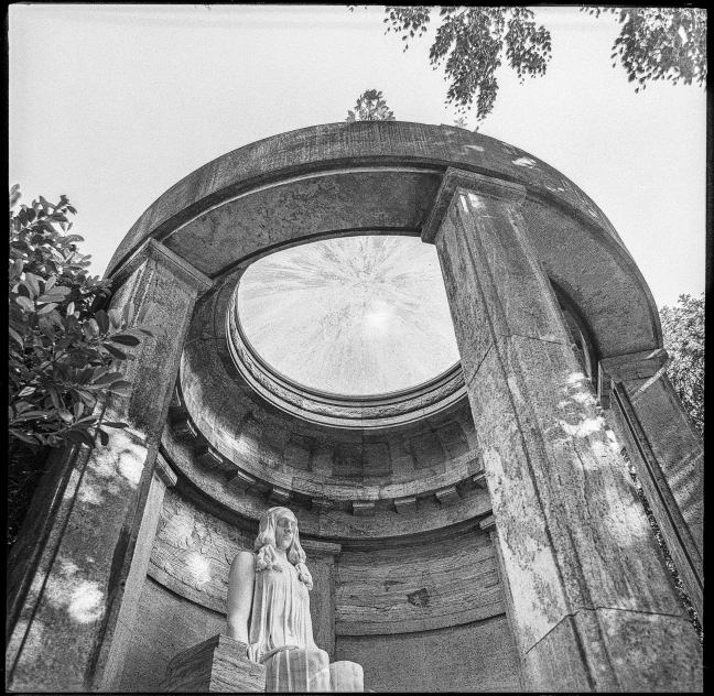 a circular window in a building with trees