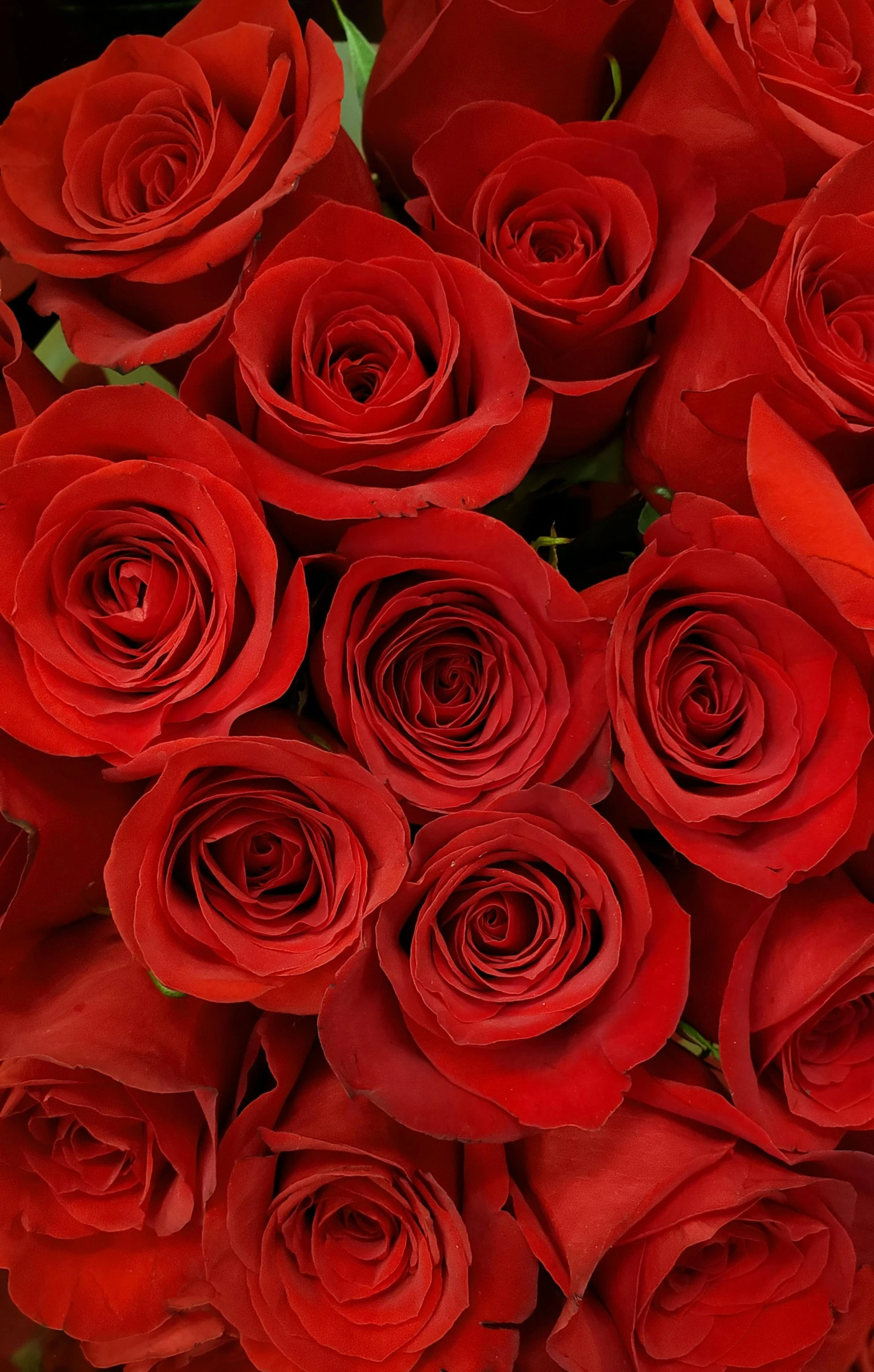 a group of red roses sitting in a bouquet