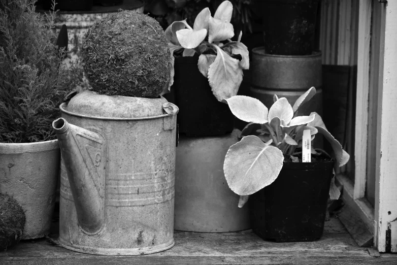 pots and buckets are lined up outside on the curb