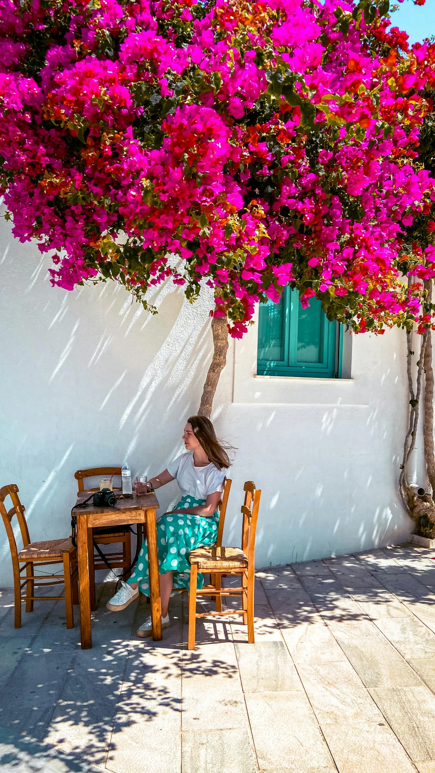 woman sitting in chair outside by the wall with flowering trees