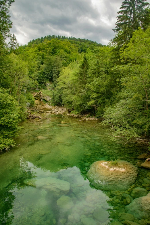 clear river running through a forest near a hillside