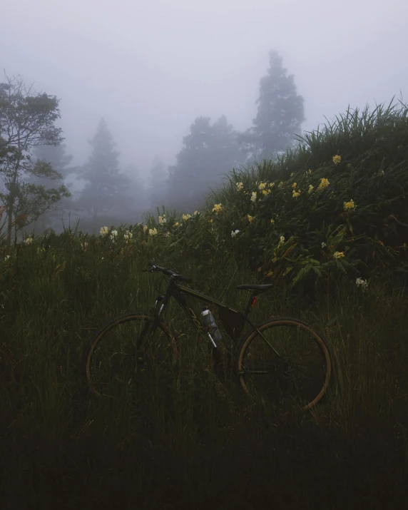 an old mountain bike parked near flowers in the fog