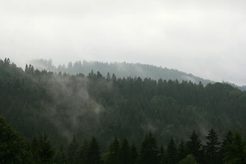 a forested hill covered in heavy fog and clouds