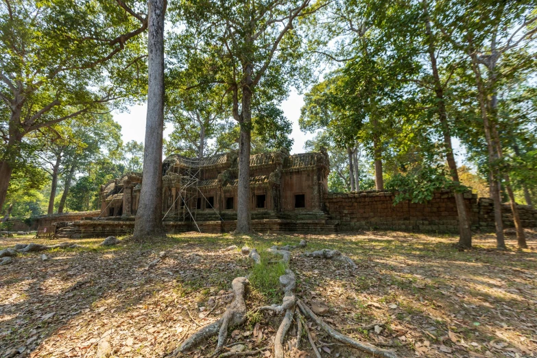 a stone house in the middle of a forest